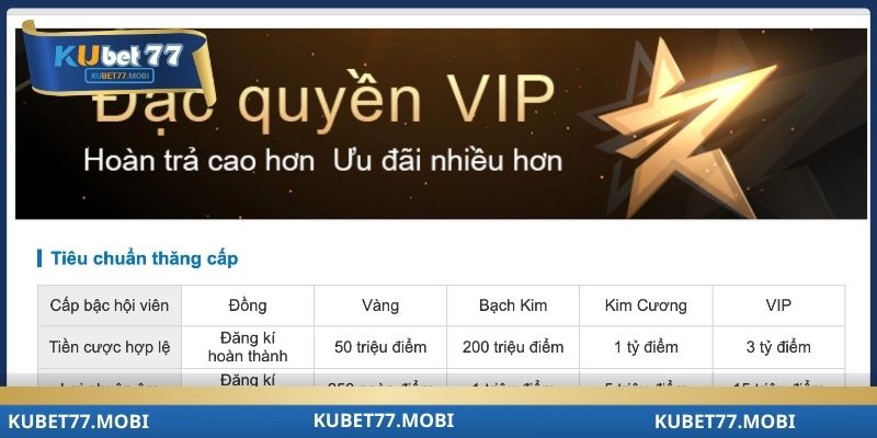 Chăm sóc khách hàng dành cho đặc quyền VIP
