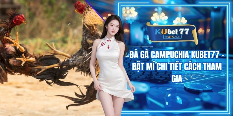 Đá Gà Campuchia Kubet77 - Bật Mí Chi Tiết Cách Tham Gia