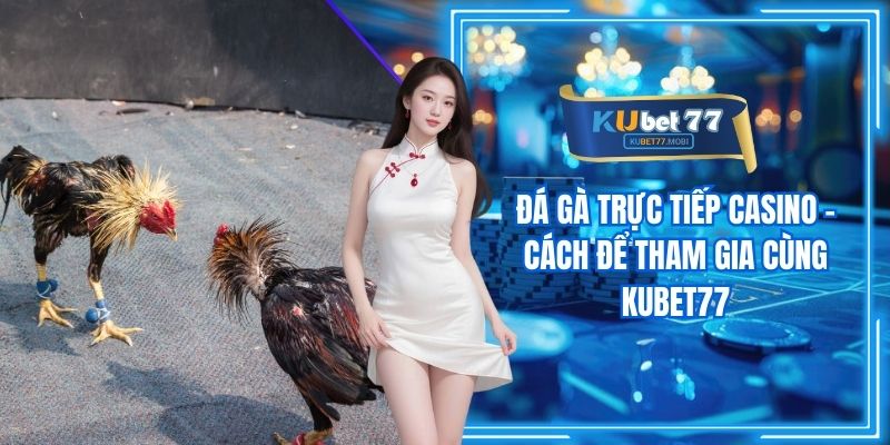 Đá Gà Trực Tiếp Casino - Cách Để Tham Gia Cùng Kubet77