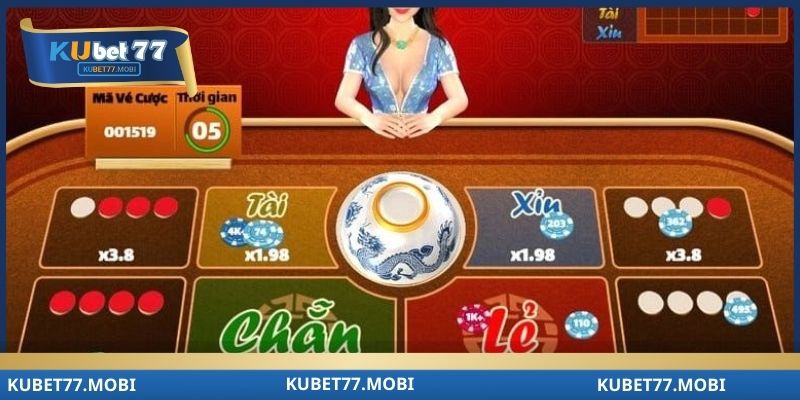 Kiến thức mở rộng giúp hiểu sâu luật xóc đĩa