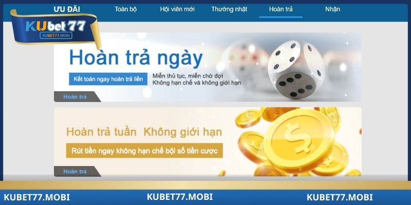 Lý do bạn nên truy cập nhà cái mỗi ngày