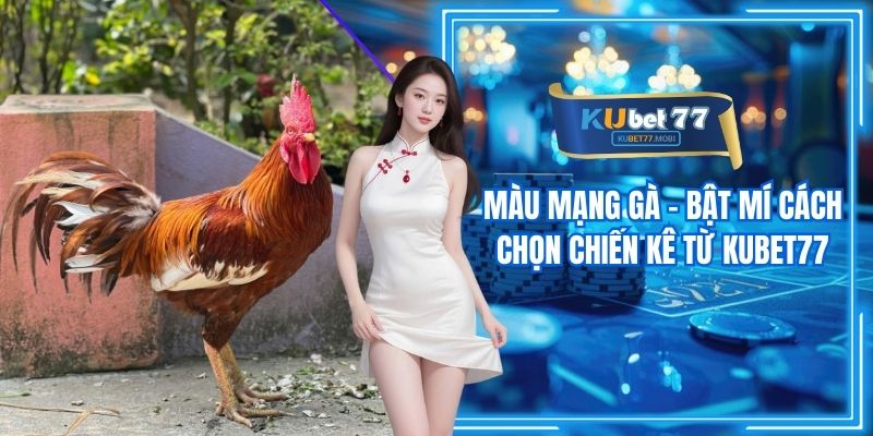 Màu Mạng Gà - Bật Mí Cách Chọn Chiến Kê Từ Kubet77